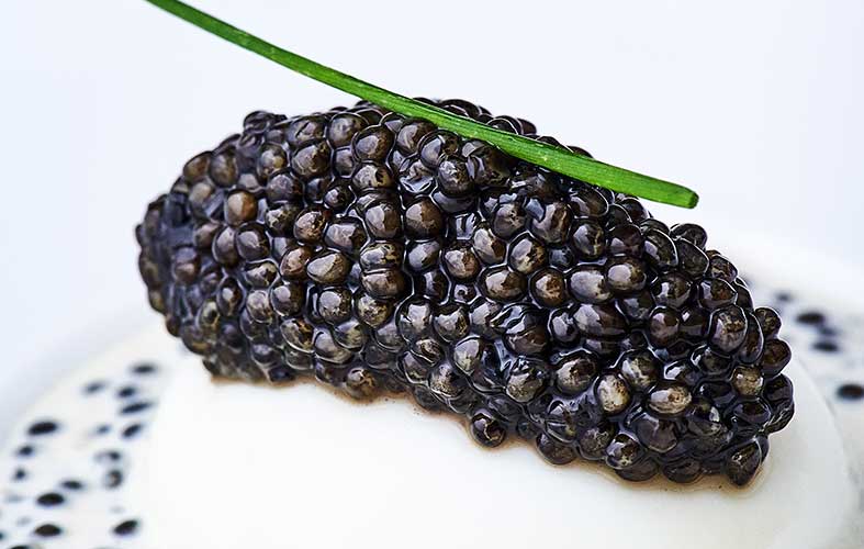 Caviar d'Aquitaine Baeri Prunier 